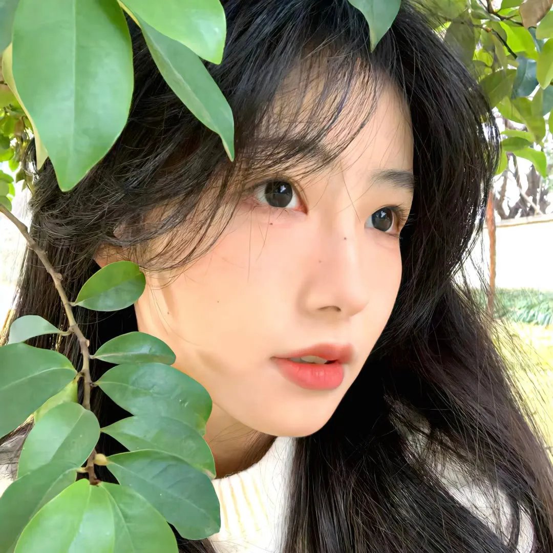 像小强一样活着